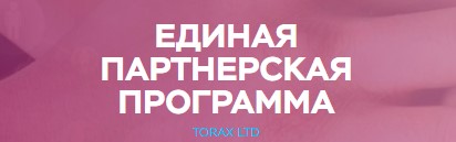 Мошенник torax.pro, отзывы о TORAX Company